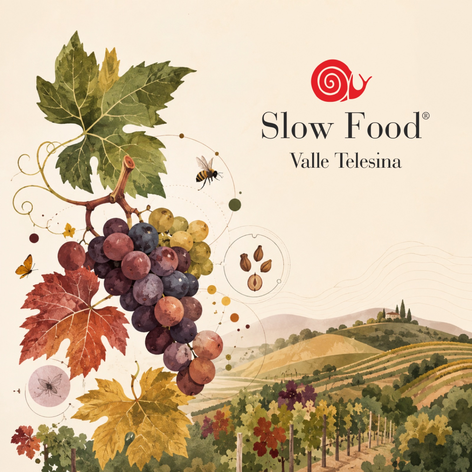 Grafica di Slow Food Valle Telesina dedicata alla biodiversità e ai vitigni